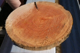 2013 World Deaf Timberfest