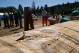 2013 World Deaf Timberfest