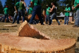 2013 World Deaf Timberfest